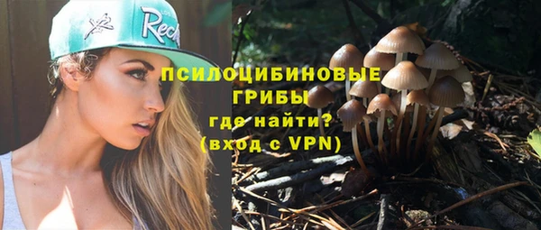 ALPHA PVP Алексин