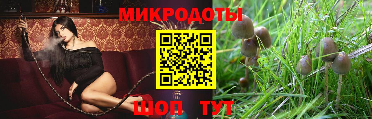 Галлюциногенные грибы мицелий Курчалой