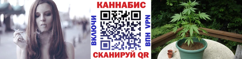 Конопля OG Kush  маркетплейс официальный сайт  Курчалой  магазин продажи наркотиков 