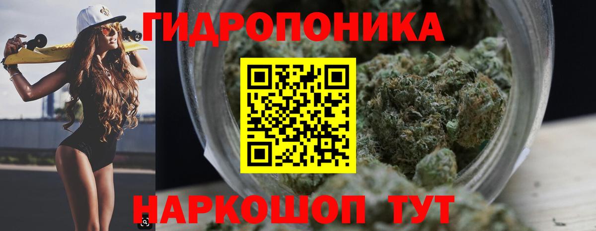 МАРИХУАНА SATIVA & INDICA Курчалой